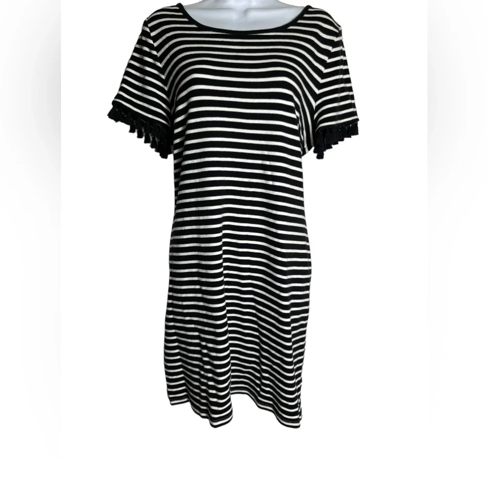 Talbots dress size XL petite or size 16 petite black & white cotton dress 🖤🤍🖤